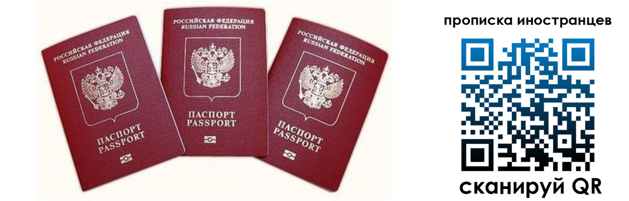 прописка в Гвардейске